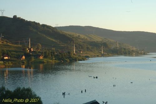 A falu fái és villanyoszlopai kilógnak a víz fölé, segítségért kiálltva.
