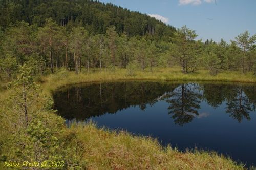 Tőzeg tó II.
Itt már csak 3 méter a tőzeg ( alatta víz )
